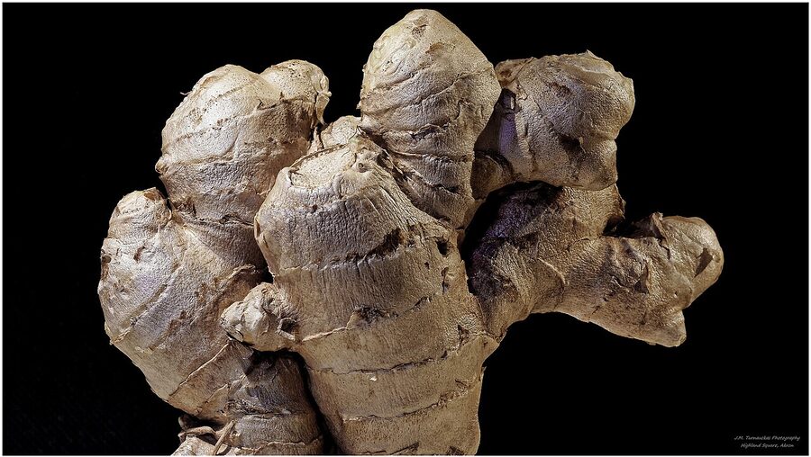 Ginger