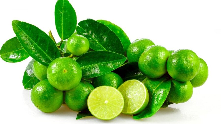 Limes